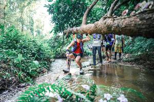 BIB: 
                            <button type="button" onclick="openModal(25459119)" class="btn btn-primary btn-sm float-right btn-popup" data-toggle="modal" data-target=".modal-high-quality">
                        <i class="fas fa-shopping-cart"></i> Add to Cart
                    </button>
                                            <button type="button" onclick="isThisMe(25459119, true)" class="btn btn-success btn-sm float-right btn-popup btn-isme hidden" data-toggle="tooltip" data-placement="bottom" title="นี่คือรูปของคุณใช่ไหม คลิกที่นี่เพื่อเอาเข้าอัลบั้ม">
                        <i class="fas fa-plus"></i> Add to album
                    </button>
                    <button type="button" onclick="isThisMe(25459119, false)" class="btn btn-warning btn-sm float-right btn-popup btn-isnotme hidden">
                        <i class="fas fa-ban"></i> Remove from album
                    </button>